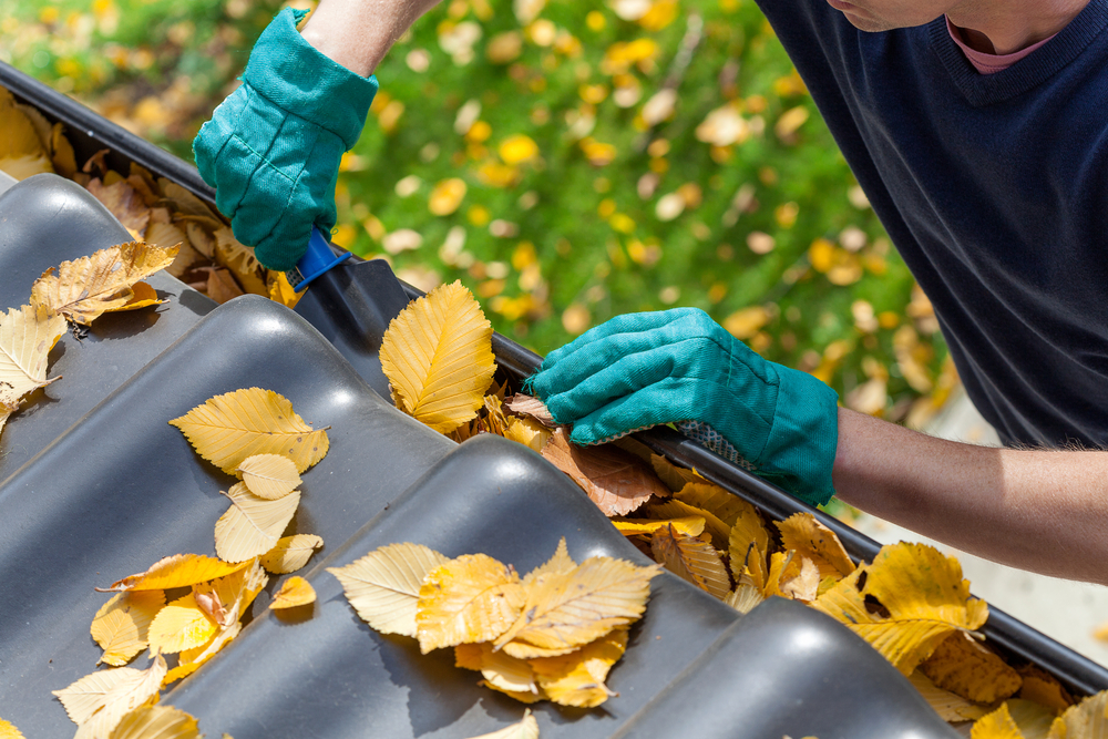removing leaves from gutters
