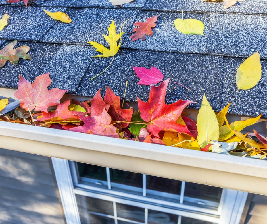 all-weather-windows-doors-siding-kansas-city-2C17-neglected-gutter-clogged-with-leaves