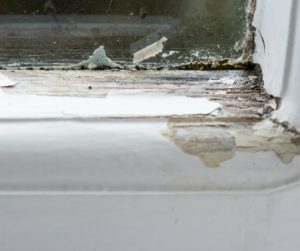 wood rot damage on window frame