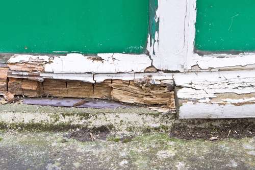 wood rot on windows